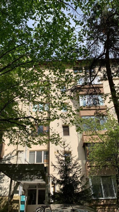 Best Apartment City Hall Сучава Экстерьер фото