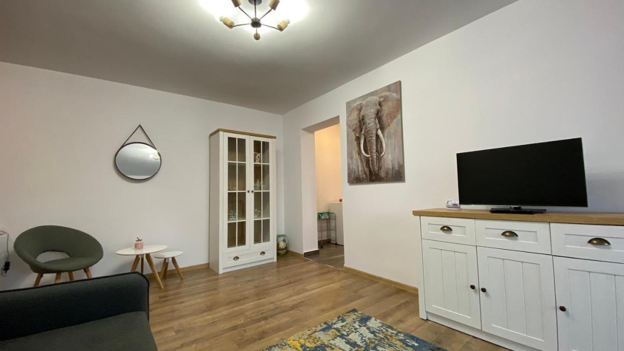 Best Apartment City Hall Сучава Экстерьер фото